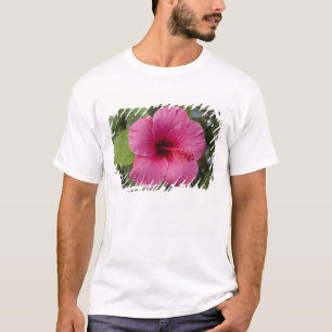 VS, Hawaï, Oahu. De Hibiscus is de 2 T-shirt