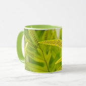 VS, Hawaii, Big Island. Tropical Green Fern Mok (Voorkant links)