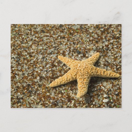 VS, HI, Kauai, strand van glas met Star-vis Briefkaart (Voorkant)