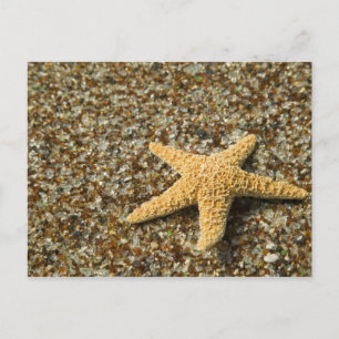 VS, HI, Kauai, strand van glas met Star-vis Briefkaart