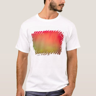 VS, Idaho. Aurora borealis, noorderlicht om 2 uur T-shirt