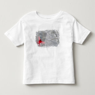 VS, Indiana, Indianapolis. Een mannelijke kardinaa Kinder Shirts