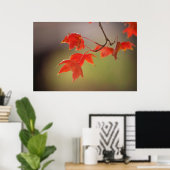 VS, Kansas, rode bladeren in vroege Herfst Poster (Thuiskantoor)