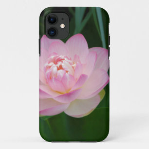 VS, Kansas, Roze Waterlelie iPhone 11 Hoesje
