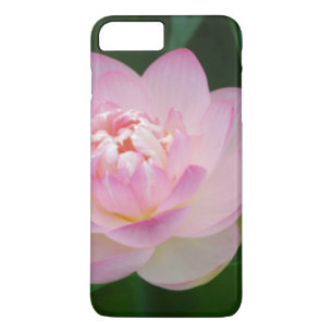 VS, Kansas, Roze Waterlelie iPhone 8 Plus / 7 Plus Hoesje
