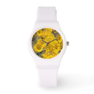 VS, Kansas. Zonnebloemen (Helianthus Annuus) Horloge