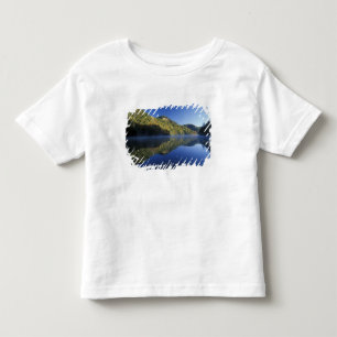 VS, Kentucky. Daniel Boone National Forest, Kinder Shirts