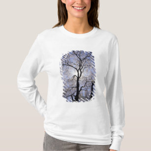 VS, Kentucky, Lexington. Achtergrondverlichte boom T-shirt