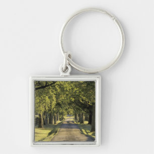 VS, Kentucky, Lexington. Met bomen omzoomde oprit, Sleutelhanger
