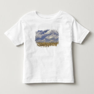 VS, Kentucky, Louisville. Tarwegewas en Kinder Shirts