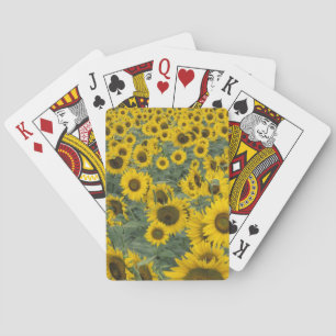 VS, Kentucky-patroon in veld met bebouwde Pokerkaarten