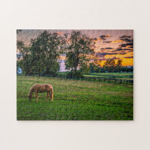 VS, Lexington, Kentucky. Eenzaam paard bij zonsond Legpuzzel