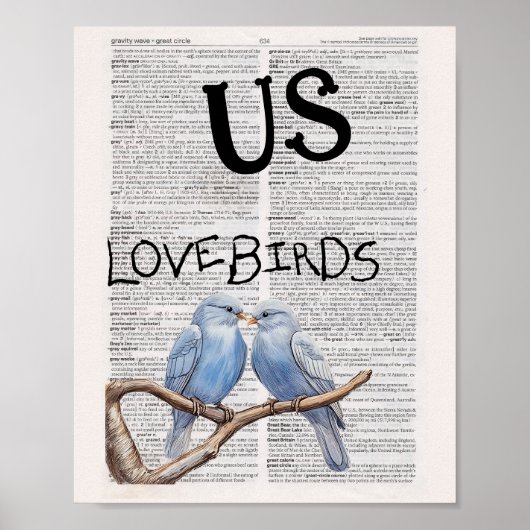 VS —— LOVEBIRDS POSTER (Voorkant)