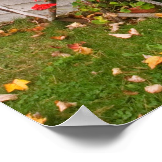 VS, Main. Wagon Wheels Poster (Hoek)