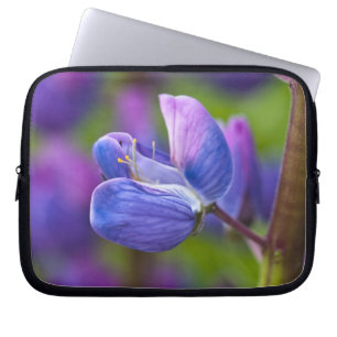 VS, Maine, Acadia National Park. Close-up van Laptop Sleeve