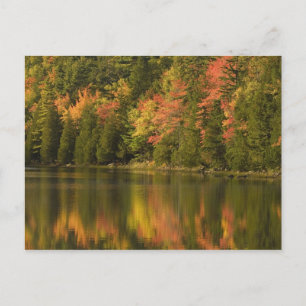 VS; Maine; Acadia NP. Herfstreflecties bij Briefkaart