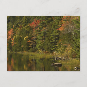 VS; Maine; Acadia NP. Herfstreflecties om 2 uur Briefkaart