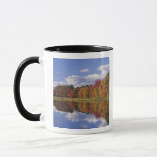 VS, Massachusetts, Acton. Weerkaatsing van herfst Mok