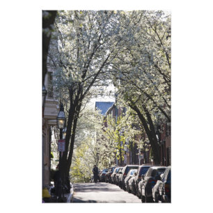 VS, Massachusetts, Boston, Beacon Hill. Foto Afdruk