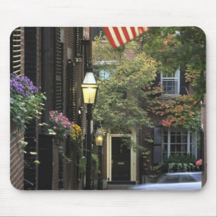 VS, Massachusetts, Boston, Beacon Hill. Muismat