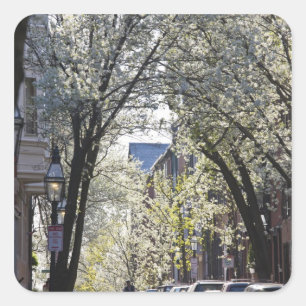 VS, Massachusetts, Boston, Beacon Hill. Vierkante Sticker