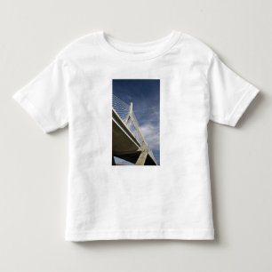 VS, Massachusetts, Boston. De Zakim Bridge. Kinder Shirts