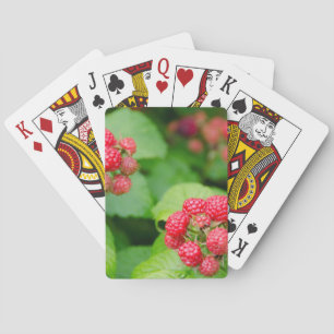 VS, Massachusetts, Nantucket. Rijpe frambozen Pokerkaarten