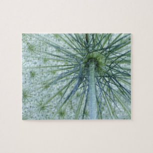 VS, Michigan. Fluitenkruid gefotografeerd vanuit Legpuzzel