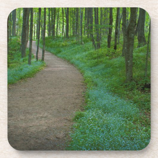 VS, Michigan. Herfsten van minderjarigen Bier Onderzetter (Voorkant)