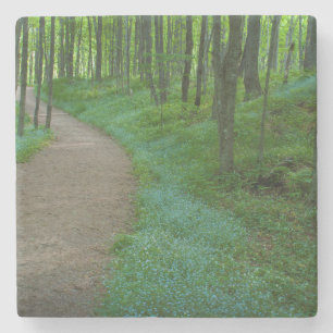 VS, Michigan. Herfsten van minderjarigen Stenen Onderzetter