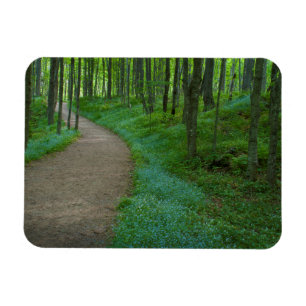 VS, Michigan. Miner's Falls Trail Magneet
