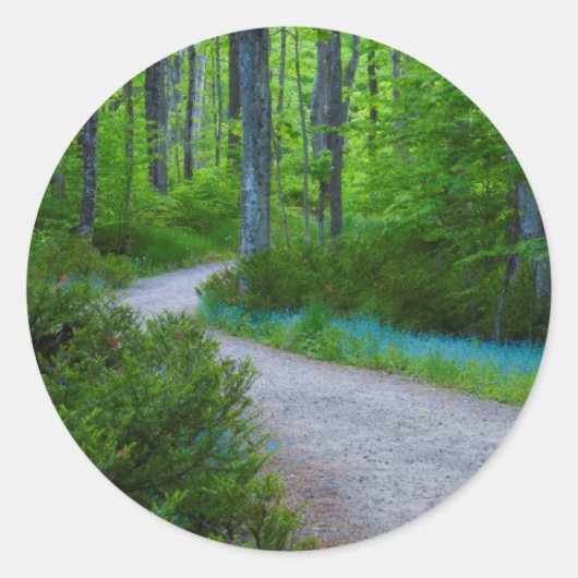 VS, Michigan. Pad door de Bossen Ronde Sticker (Voorkant)