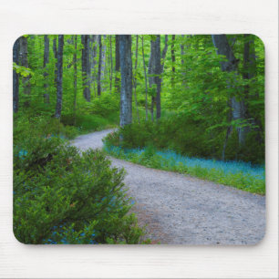 VS, Michigan. Pad Door Het Bos Muismat