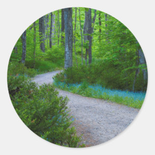 VS, Michigan. Pad Door Het Bos Ronde Sticker
