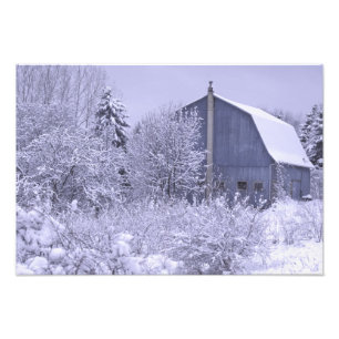 VS, Michigan, Rochester Hills. Besneeuwd blauw Foto Afdruk