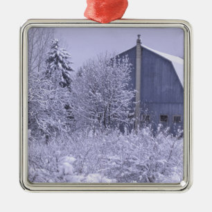 VS, Michigan, Rochester Hills. Besneeuwd blauw Metalen Ornament