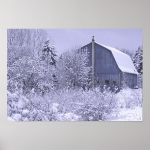 VS, Michigan, Rochester Hills. Besneeuwd blauw Poster