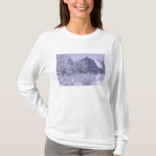 VS, Michigan, Rochester Hills. Besneeuwd blauw T-shirt
