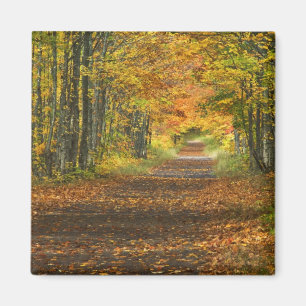 VS, Michigan, Upper Peninsula. Wegdek in Magneet