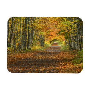 VS, Michigan, Upper Peninsula. Wegdek in Magneet