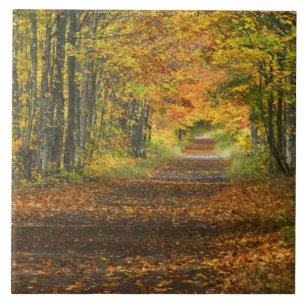 VS, Michigan, Upper Peninsula. Wegdek in Tegeltje
