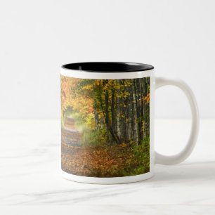 VS, Michigan, Upper Peninsula. Wegdek in Tweekleurige Koffiemok