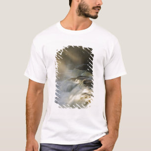 VS, Michigan, Upper Peninsula. Zonnestralen op T-shirt