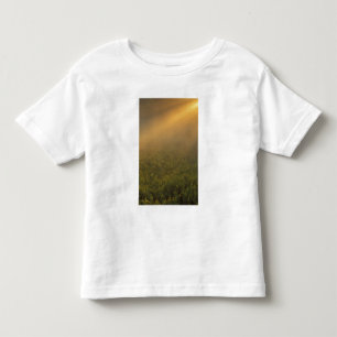 VS, Michigan, Weide met guldenroede planten Kinder Shirts
