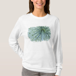 VS, Michigan. Wilde wortel van onderen bekeken T-shirt