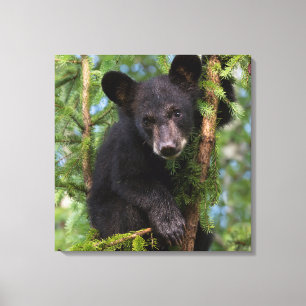 VS, Minnesota, Sandstone, Minnesota Wildlife 8 Canvas Afdruk