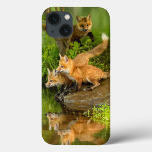 VS, Minnesota, Sandstone, Minnesota Wildlife iPhone 13 Hoesje