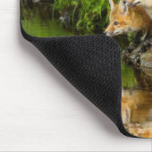 VS, Minnesota, Sandstone, Minnesota Wildlife Muismat (Hoek)