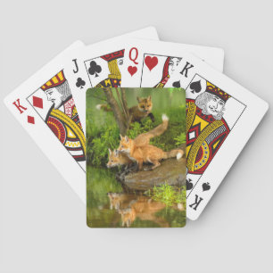 VS, Minnesota, Sandstone, Minnesota Wildlife Pokerkaarten