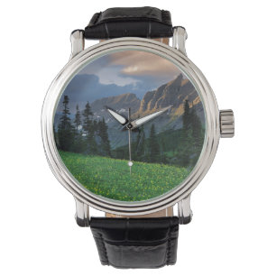 VS, Montana, Glacier National Park, Logan Pass Horloge